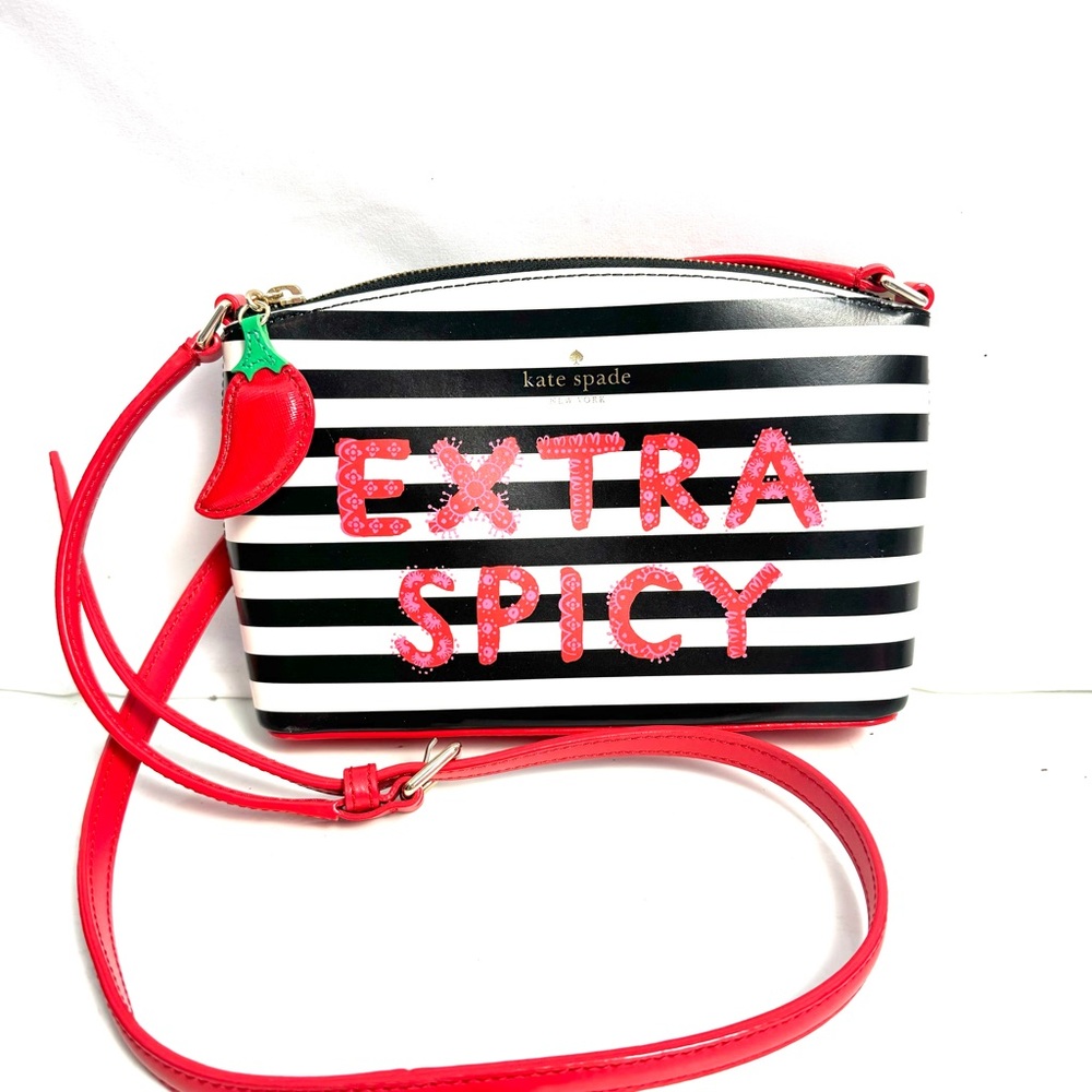 Kate Spade Black and White Striped Crossbody Bag with Red Accents